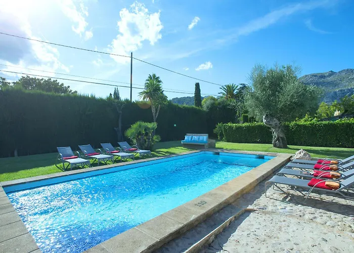 Owl Volanti - 10 Walk To The Old Town