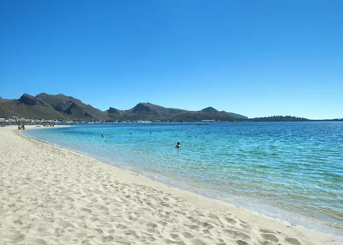 Owl Volanti - 10 Walk To The Old Town *