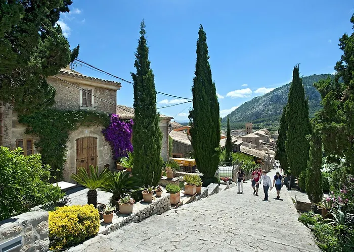 Owl Volanti - 10 Walk To The Old Town