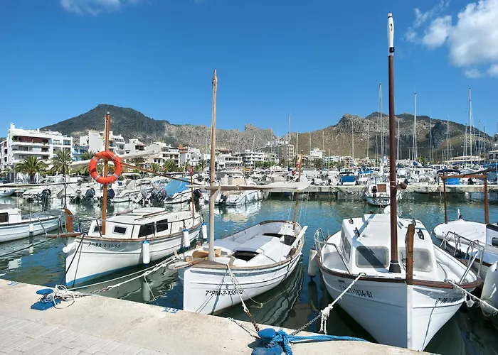 Owl Volanti - 10 Walk To The Old Town *