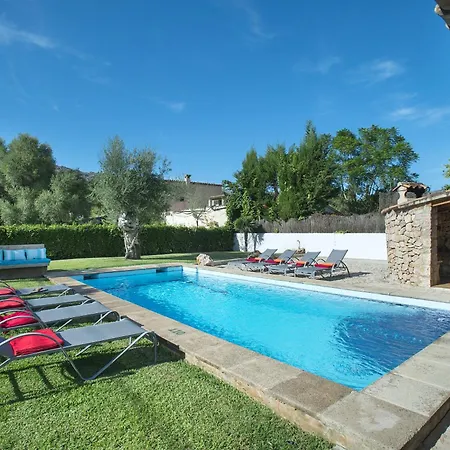 Owl Volanti - 10 Walk To The Old Town