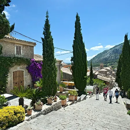 Owl Volanti - 10 Walk To The Old Town