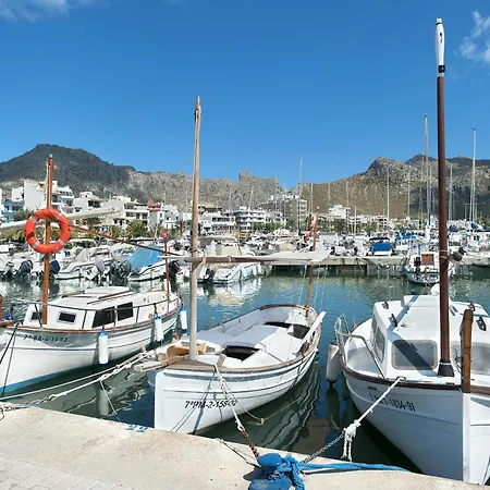 Owl Volanti - 10 Walk To The Old Town *