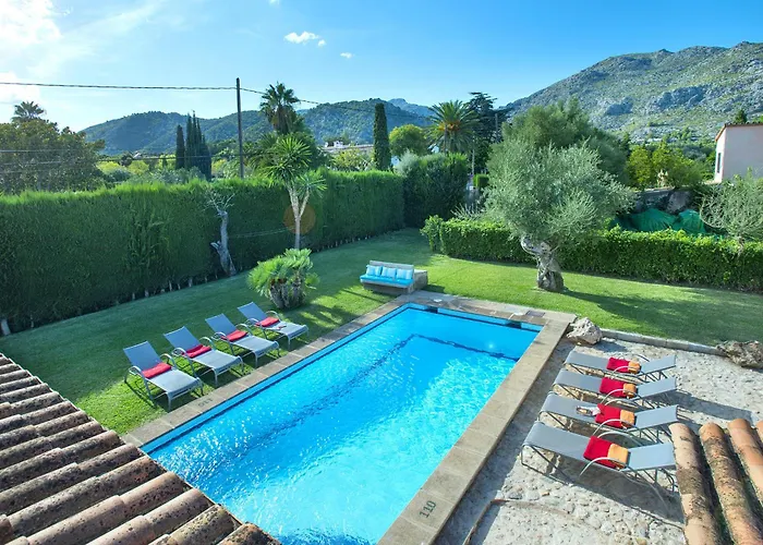 Owl Volanti - 10 Walk To The Old Town *