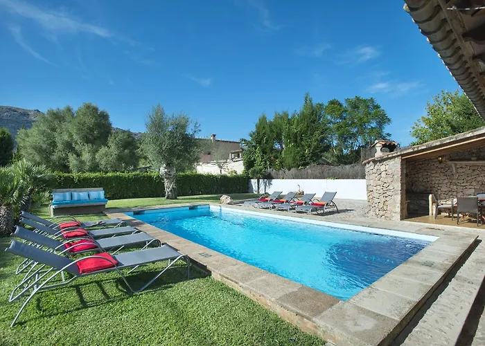 Owl Volanti - 10 Walk To The Old Town