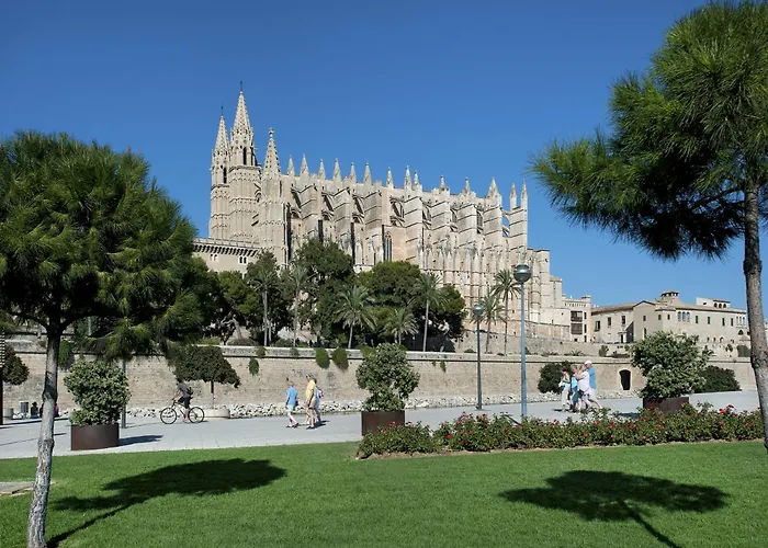 Owl Volanti - 10 Walk To The Old Town Willa Pollensa
