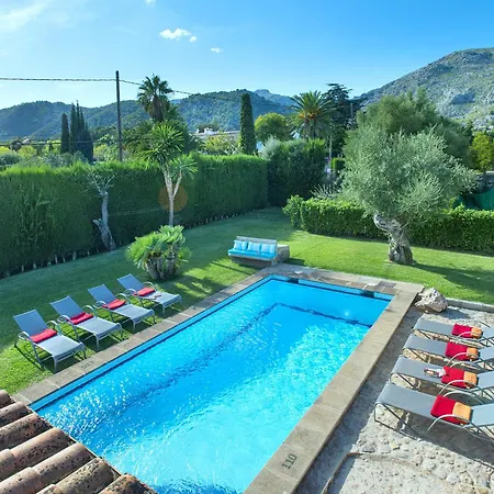 Owl Volanti - 10 Walk To The Old Town *