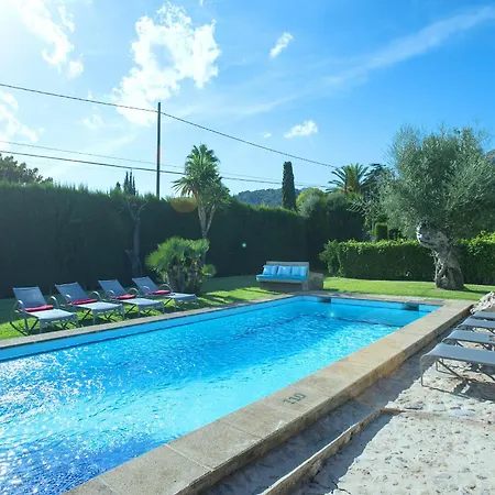 Owl Volanti - 10 Walk To The Old Town