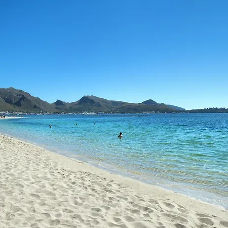 Owl Volanti - 10 Walk To The Old Town *